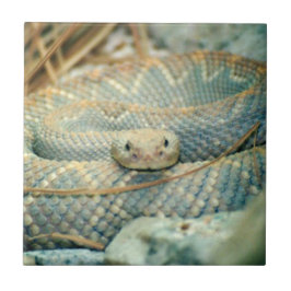 Snake Ceramic Tile Kakelplatta