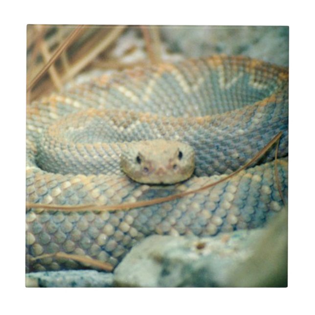 Snake Ceramic Tile Kakelplatta (Framsidan)