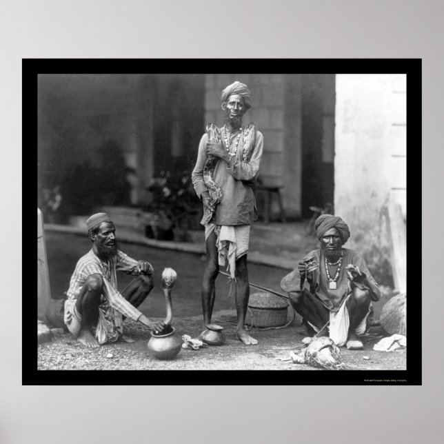 Snake Charmers with their Cobras in India 1898 Poster (Framsidan)