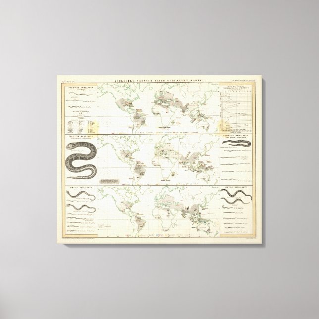 Snake Distribution Canvastryck (Framsida)