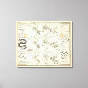 Snake Distribution Canvastryck