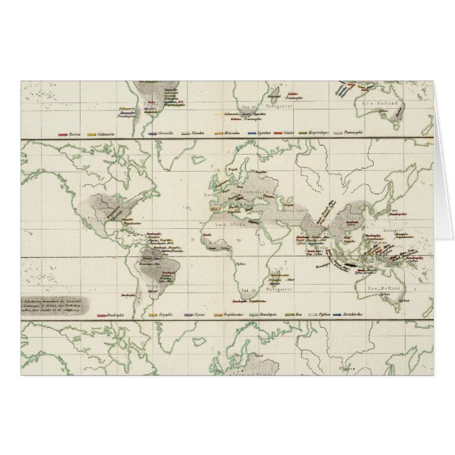 Snake Distribution Hälsningskort (Framsidan Horizontal)