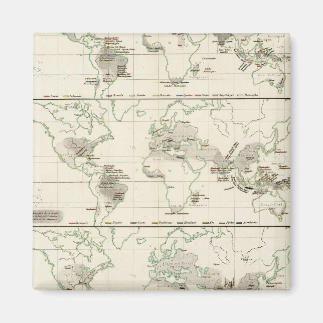 Snake Distribution Magnet (Framsidan)