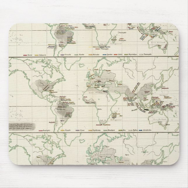 Snake Distribution Musmatta (Framsidan)