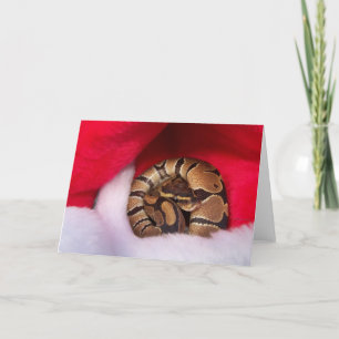 Snake-garderad i Santa hat, boll python Helgkort