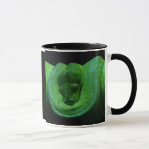 Snake Kopp