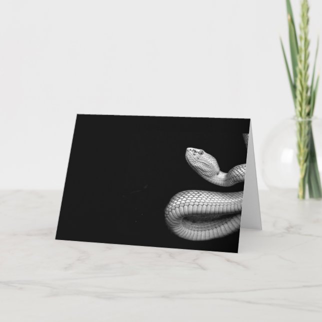 Snake Kort (Framsida)