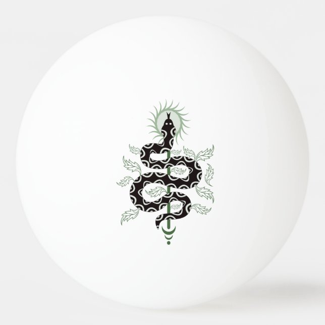 Snake Oasis Pingisboll (Framsidan)