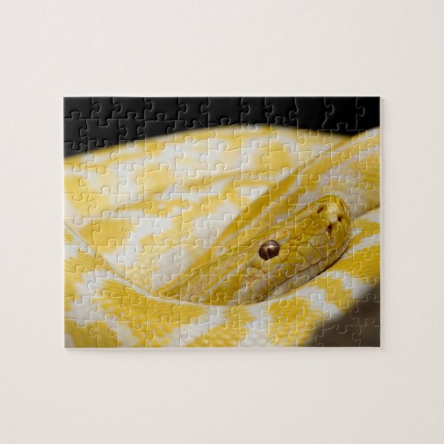 Snake Photo på nära håll Pussel (Horisontell)