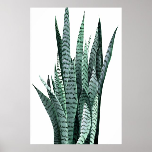 Snake Plant Acrylic Painting Poster (Framsidan)