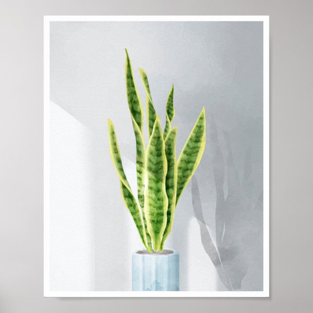 Snake Plant, Mor-in-law tunga, Sansevieria Poster (Framsidan)