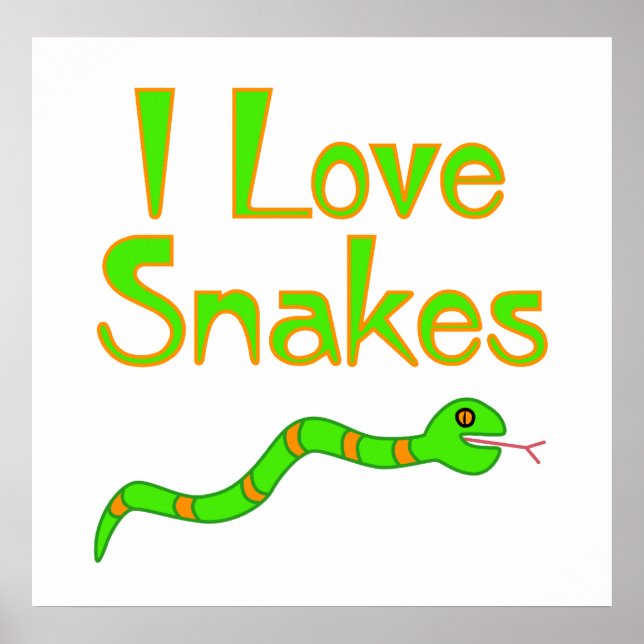 Snake Poster (Framsidan)