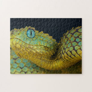 Snake Puzzle - Vackra Grönten Pussel