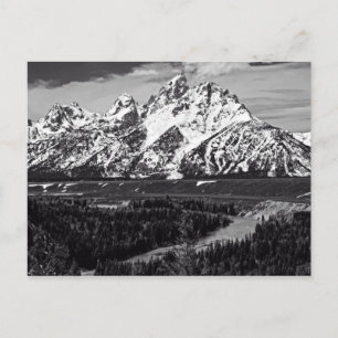 Snake River Curve - Grand Tetons Vykort