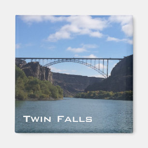 Snake River - Twin Falls Magnet
