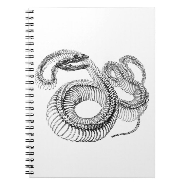 Snake Skeleton Notebook Anteckningsbok (Framsidan)
