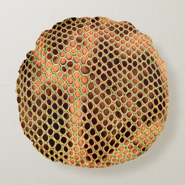 Snake skin background rund kudde (Framsidan)