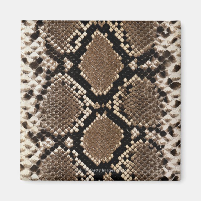Snake Skin Magnet (Framsidan)