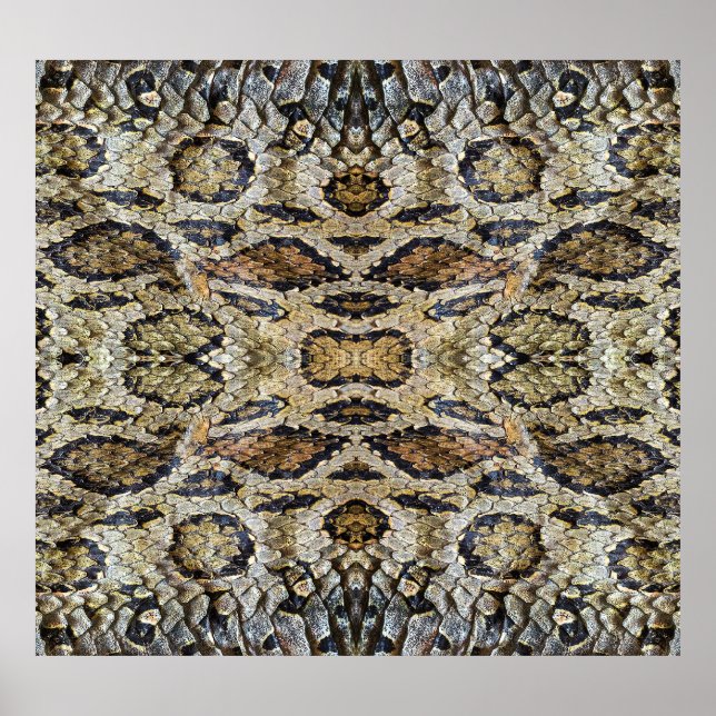Snake Skin Mönster Struktur Poster (Framsidan)