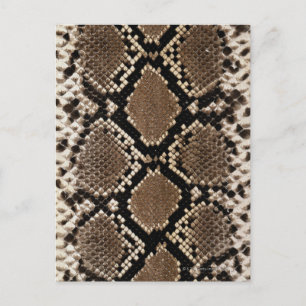 Snake Skin Vykort