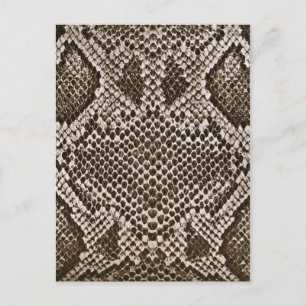 Snake skin vykort