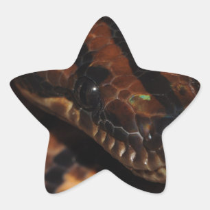 Snake Stjärnformat Klistermärke