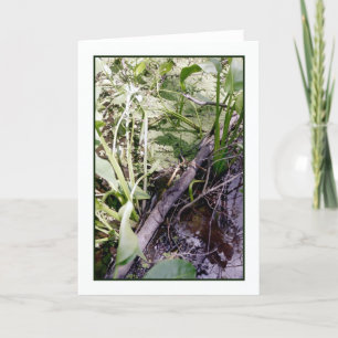 Snake Sunat Greeting Card Kort