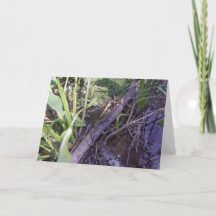 Snake Sunbad Anpassningsbar Swamp Bayou Greeting C Kort