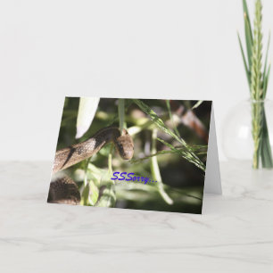 Snake Sympathy Card Kort