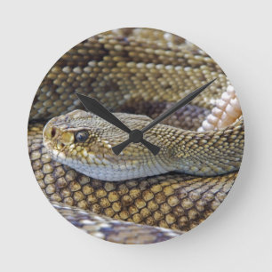 Snake Themme Acrylic Wall Clock Rund Klocka