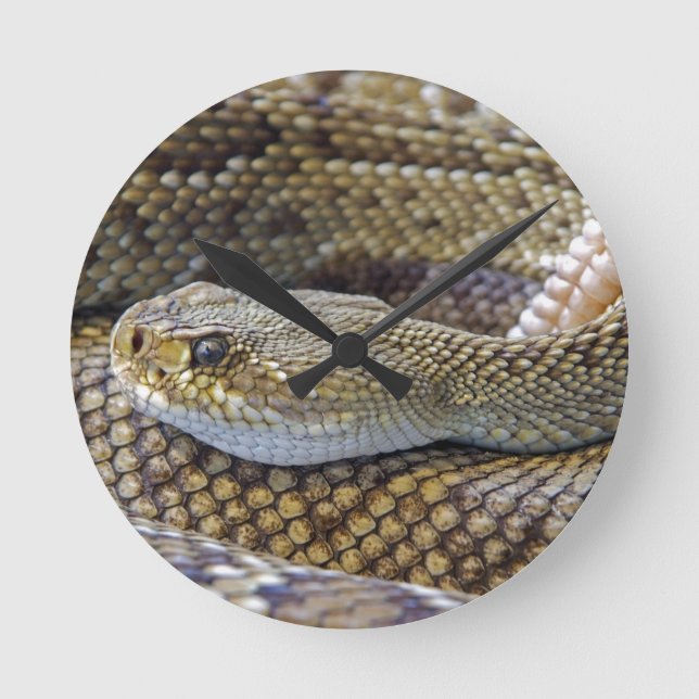 Snake Themme Acrylic Wall Clock Rund Klocka (Framsida)