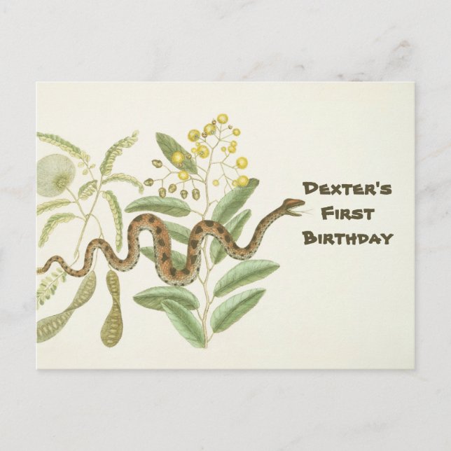 Snake Vykort (Framsida)