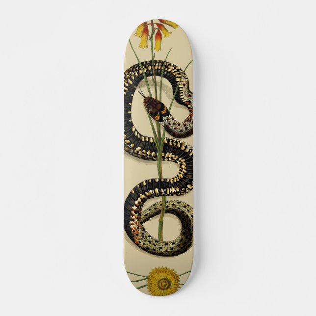 Snake & Wildflowers in sand Mini Skateboard Bräda 18,5 Cm (Framsida)