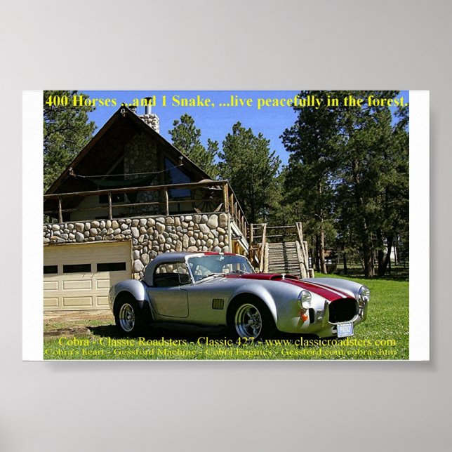 SnakeNGRass Poster (Framsidan)