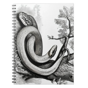 Snakes Anteckningsbok
