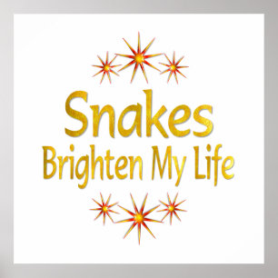 Snakes Brighant Mitt liv Poster