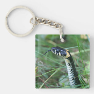 Snake's Head