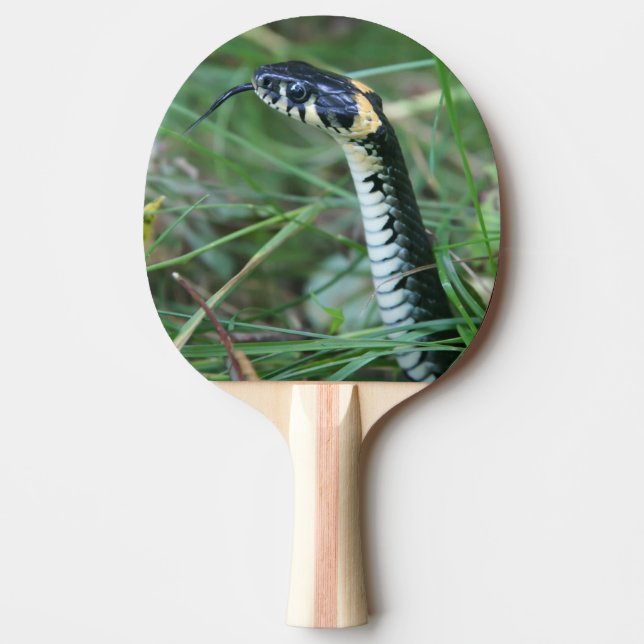Snake's Head Pingisracket (Framsidan)