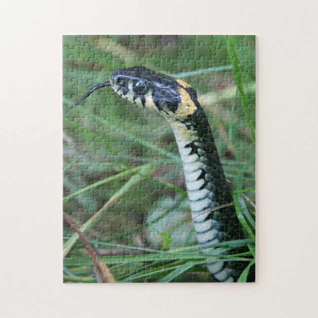 Snake's Head Pussel (Vertikal)