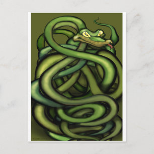 Snakes Vykort