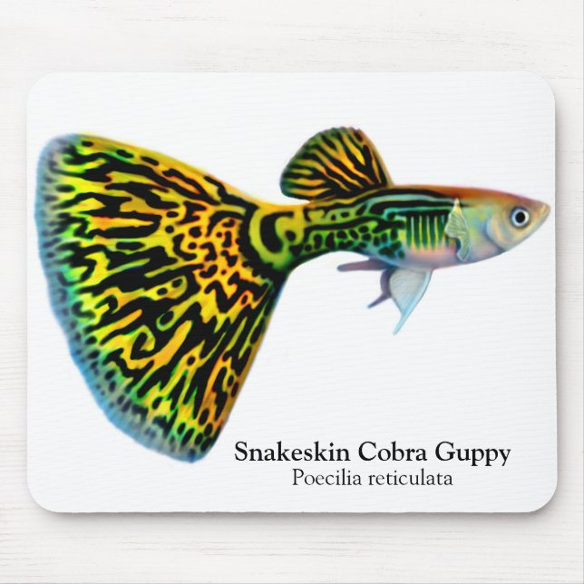 Snakeskin kobraGuppy Mousepad Musmatta (Framsidan)