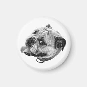 Snäll Bulldog Magnet