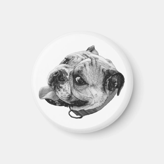 Snäll Bulldog Magnet (Framsidan)