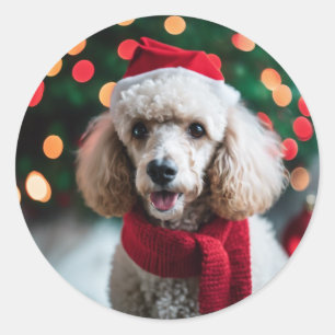 Snäll Santa- flicka Foto på sällskapsdjur Pudel Ju Runt Klistermärke