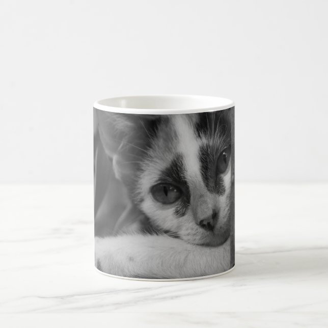 Snälla Kattunge Kaffemugg (Center)