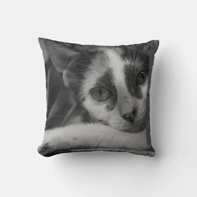 Snälla Kattunge Kudde (Framsida)