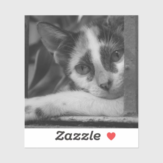 Snälla Kitty Klistermärken (Ark)