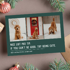 Snälla lista rolig husdjur tre foto grön jul julkort