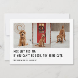 Snälla lista rolig husdjur tre foto svart jul julkort