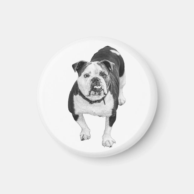 Snälla ögon, Bulldog Magnet (Framsidan)